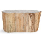 Norwest - Petrified Wood Coffee Table - Natural - Image 2