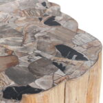 Norwest - Petrified Wood Coffee Table - Natural - Image 4